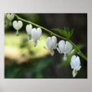 Buscar corazón sangrante posters Floral