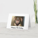 Buscar diseño del mono tarjetas Divertido