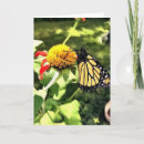 Buscar tithonia Monarca