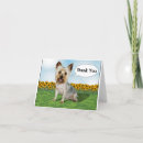 Buscar yorkie tarjetas Adorable