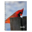 Buscar cardenal rojo cuadernos Vida silvestre