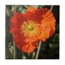 Buscar poppy azulejos Naranja