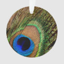 Buscar pavo real adornos Retro