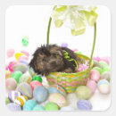 Buscar poo pegatinas Animal