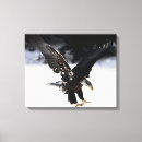 Buscar depredador arte Águila calva