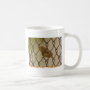 Buscar birdwatching tazas El birding