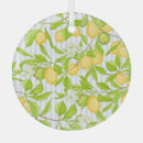 Buscar limones adornos Fondo