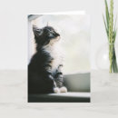 Buscar de ilusiones tarjetas Gatito