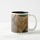 Buscar lince tazas Fauna