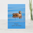 Buscar pato silvestre tarjetas Animales