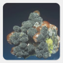 Buscar fondo natural pegatinas Corte