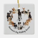Buscar raza mascotas Para todos