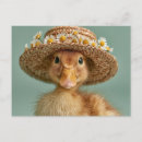 Buscar pato postales Flores