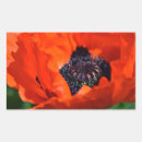 Buscar poppy pegatinas Botánico