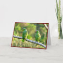 Buscar paracaídas tarjetas Tropical