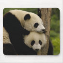 Buscar gigantes alfombrillas de raton China