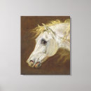 Buscar cabeza de caballo lienzos Caballos