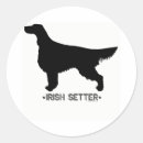 Buscar irish setter pegatinas Animal