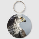 Buscar halcón peregrino llaveros Cetrería
