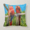 Buscar loros cojines Macaw
