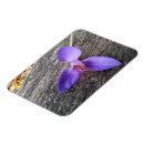 Buscar cromo imanes Flor