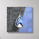 Buscar nuez arte Blanco