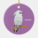 Buscar pájaro tropical adornos Para todos