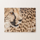 Buscar cazadores puzzles Jigsita