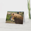 Buscar icelandic tarjetas Caballo