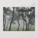 Buscar ambiente postales Planta