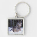 Buscar lobo llaveros Bosque
