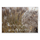 Buscar beileid postales Tod