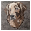 Buscar golden retriever azulejos Perro
