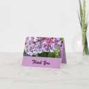 Buscar hydrangea tarjetas Usted