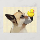 Buscar del perro postales Flores
