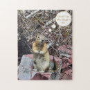 Buscar chipmunk Animal
