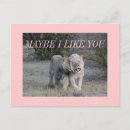 Buscar gatos grandes postales Gran gato