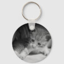 Buscar gatitos negros llaveros 9 º gata