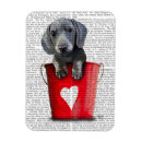 Buscar dachshund imanes Amar