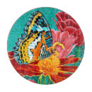 Buscar arco tablas cortar Mariposa