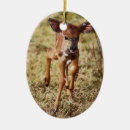 Buscar nyala Animales