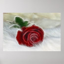 Buscar rosa rojo romántico posters Amar