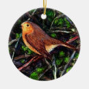 Buscar robin adornos Pájaro