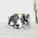 Buscar collie tarjetas Navidades
