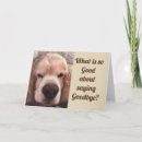 Buscar el decir adiós tarjetas Universidad