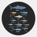 Buscar biología etiquetas Vida marina