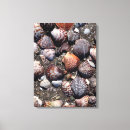 Buscar seashells lienzos Ondas