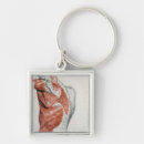Buscar anatomía humana llaveros Anatómico