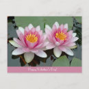 Buscar waterlily tarjetas Loto