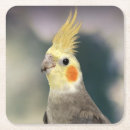 Buscar cubanos posavasos Cóctel